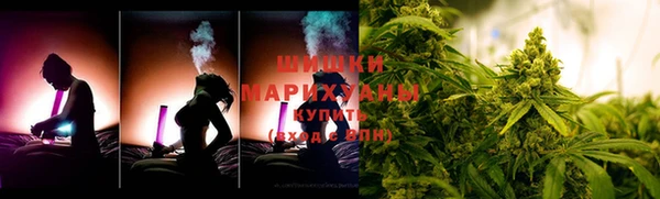 ПСИЛОЦИБИНОВЫЕ ГРИБЫ Лиски