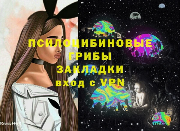 ПСИЛОЦИБИНОВЫЕ ГРИБЫ Лиски