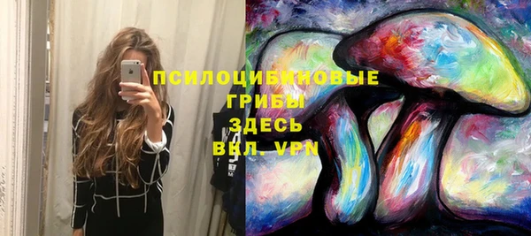 a pvp Липки