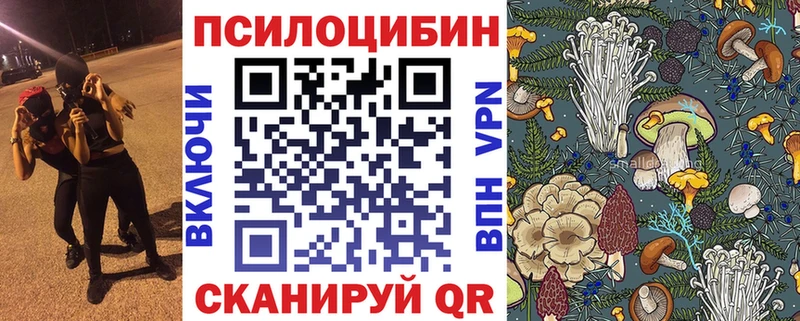 Псилоцибиновые грибы Magic Shrooms  Купить закладки  Малгобек 